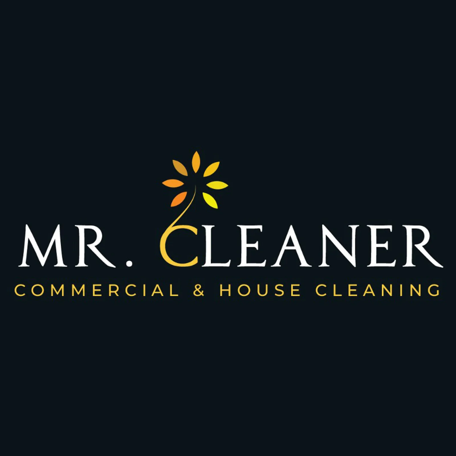 Mr Cleaner LTD